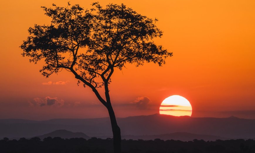 5 Things You Didn’t Know About Kruger National Park 
