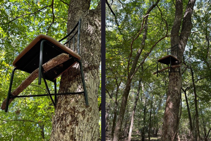 ‘Find Something Safe To Do’: Oklahoma Wildlife Officials Call out Poorly Constructed Tree Stand