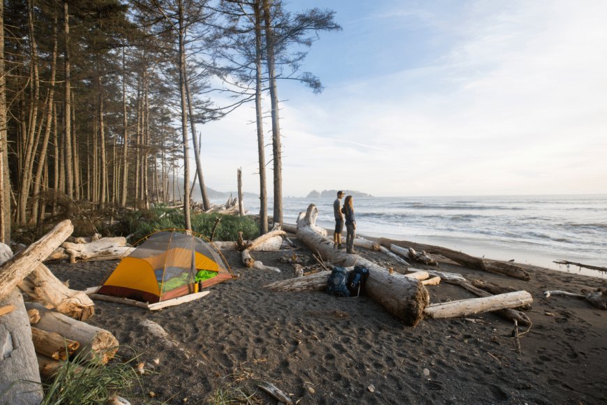5 Things You Didn’t Know About Olympic National Park
