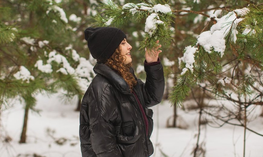 5 Mushrooms to Forage in Winter