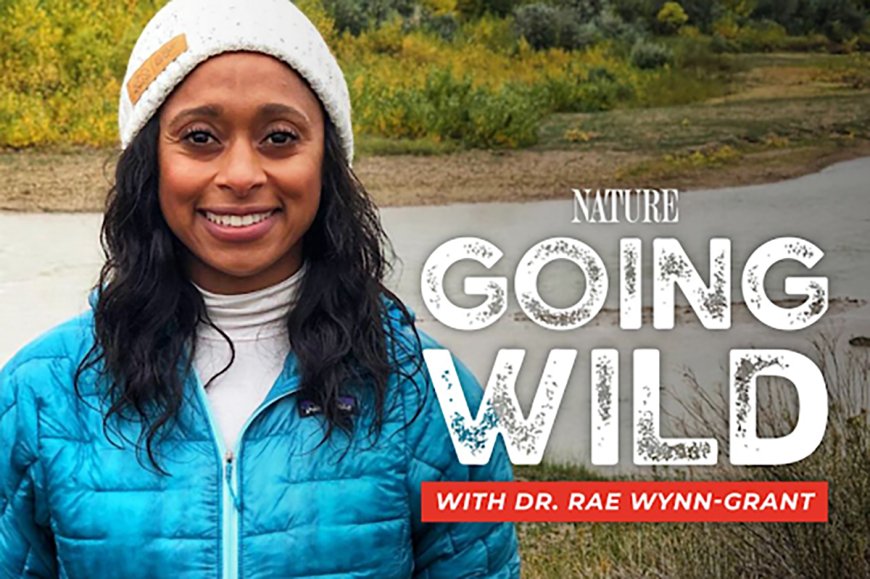 Dr. Rae Wynn-Grant on the New Season of Her Conservation-Inspired Podcast ‘Going Wild’