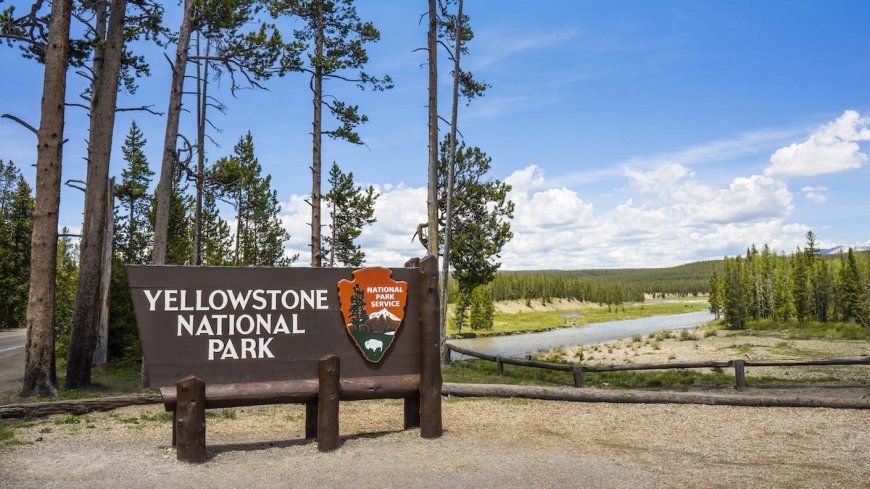 5 Things You Didn’t Know About Yellowstone National Park