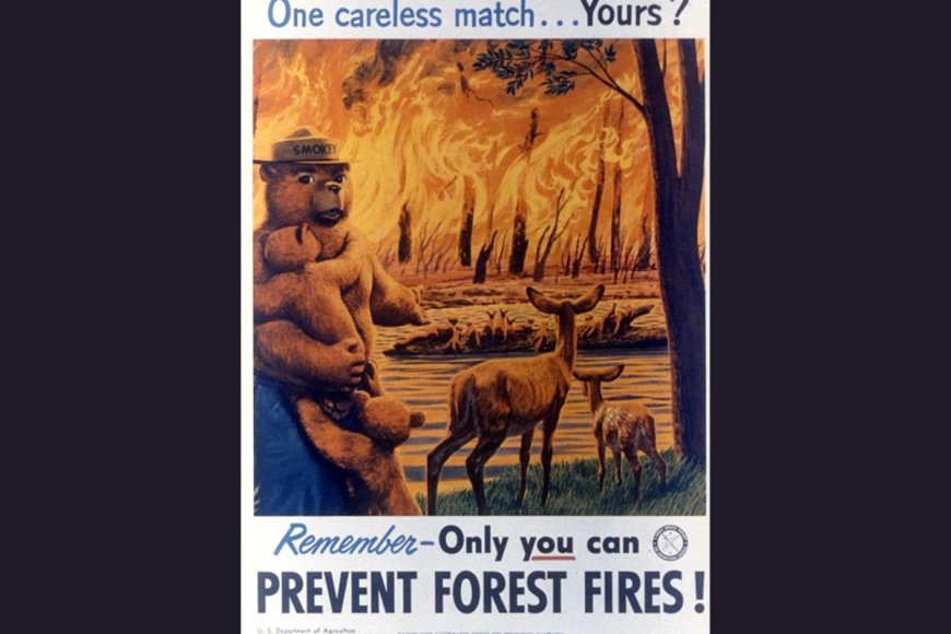 These Iconic Smokey Bear Posters Are 70 Years Old, But the Message Remains the Same Today