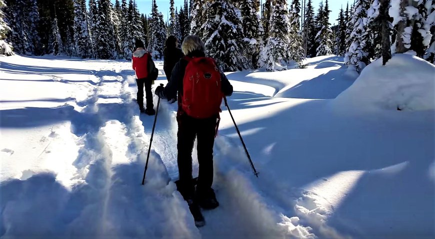Vancouver Island, British Columbia Off-Season Adventures