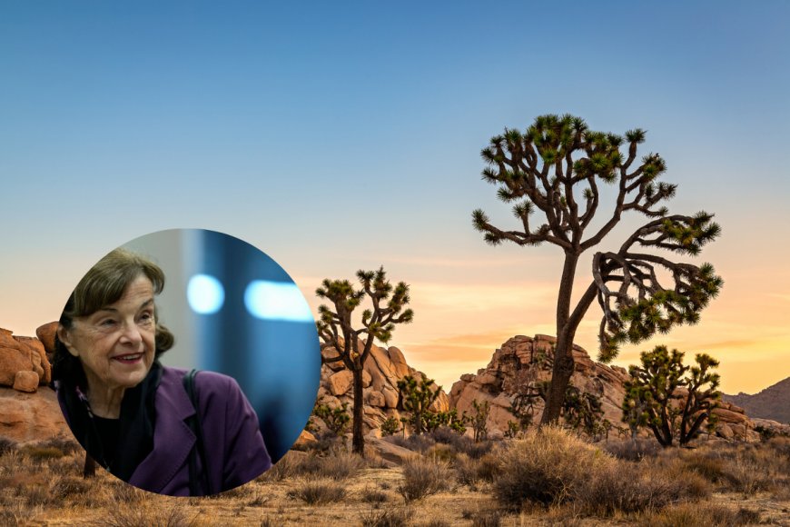 Sen. Dianne Feinstein Leaves Behind a Track Record of Protecting America’s Deserts
