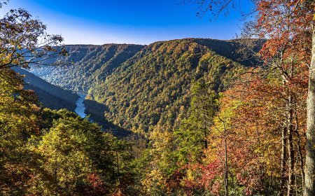 4 Great Bear Grylls Moments in National Parks