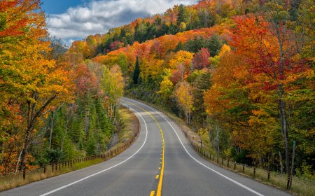 5 Best New York Road Trip Destinations to Beat the Crowds