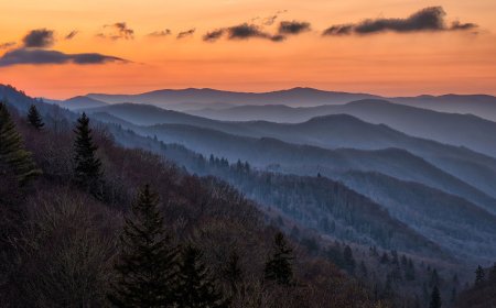 5 Cool Things to See in Great Smoky Mountains National Park