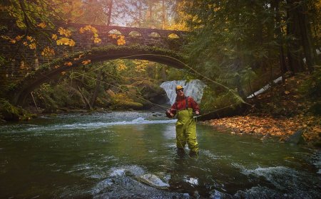 Fall Fishing Gear: The Basics