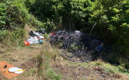 NPS Removes Old Marijuana Grow Site at Point Reyes National Seashore