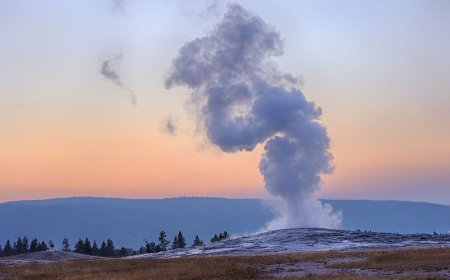 6 Unique Natural Spectacles to Witness in U.S. National Parks