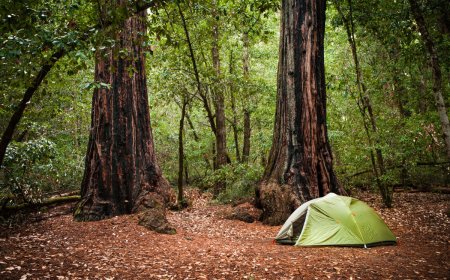 Want to Beat the Crowds? A New California Camping Law Should Make It Easier to Find a Campsite