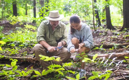 25 Essential Survival Skills for Adventurers