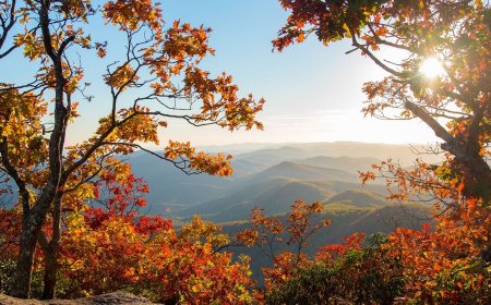 High-Flying Foliage: 9 Ways to See Fall Colors From Above