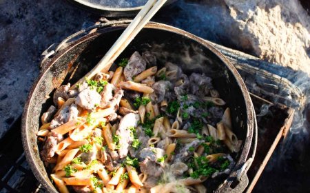 Quick & Easy Dutch Oven Beef Stroganoff Camping Recipe