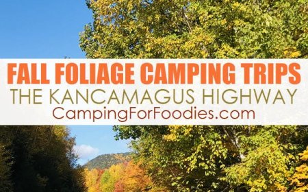 Best Camping For Fall Foliage RV Trips: National Parks, Forests & State Parks
