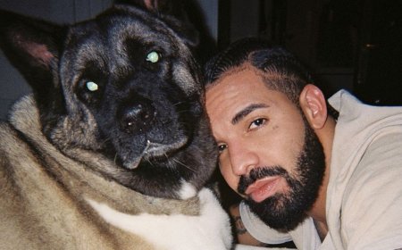 Vacation Mode Is in High Gear: Visit These Locations From Drake Songs