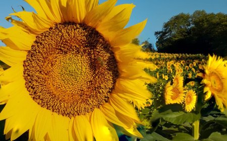 5 Incredible Outdoor Recreation Opportunities in Kansas