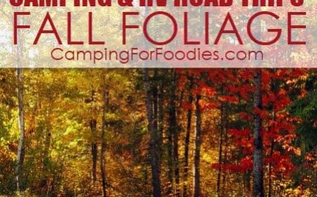 FREE Fall Colors Finder Tools For Fall Foliage Camping Trips