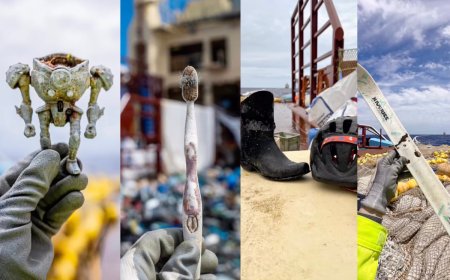 ‘There’s Always a Few Odd Gems’: See All the Wild Trash and Plastic Found Floating in the Ocean