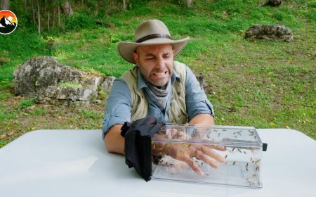 Nature’s Worst Bites and Stings, As Told by Coyote Peterson