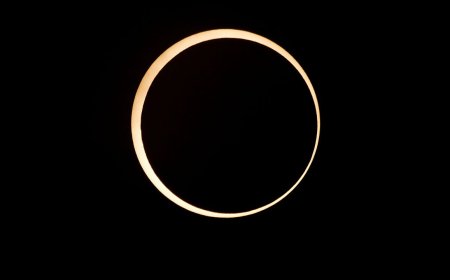 Ask Outdoors: How Do Eclipses Affect Plants and Animals?