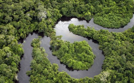 Is the Jungle Ultra the Toughest Endurance Challenge In the World? 