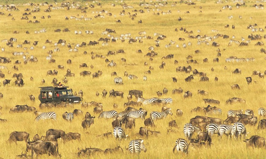 Do You Know the Big 5 and the Tiny 5 of Africa?