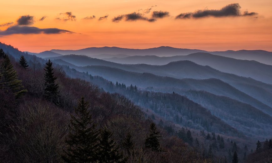 5 Cool Things to See in Great Smoky Mountains National Park