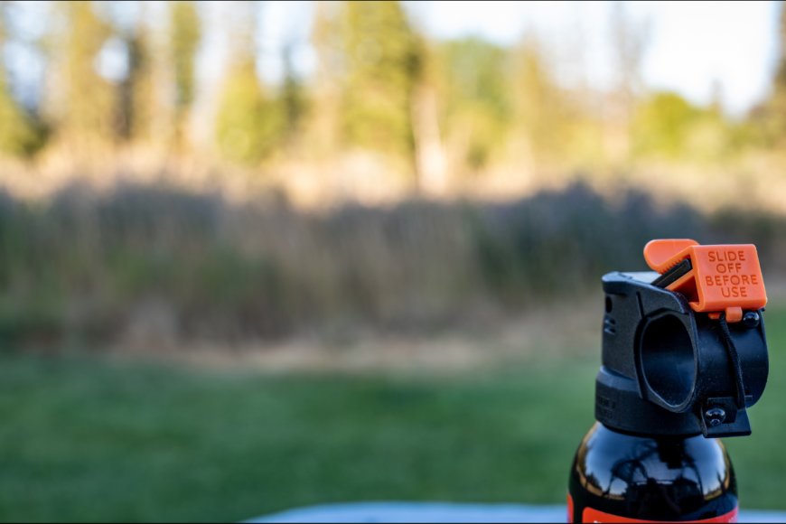 Husband Uses Bear Spray to Save 73-Year-Old Woman from Bear Attack on a Montana Trail