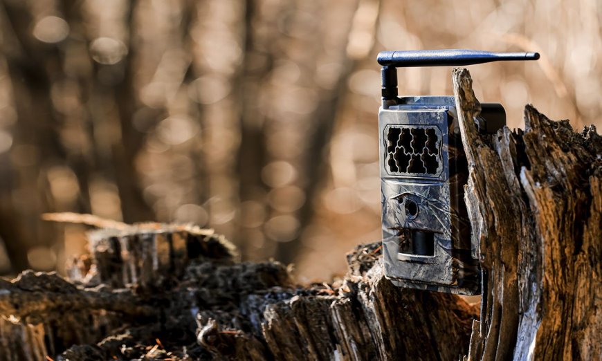 How to Signal for Help with a Wildlife Camera