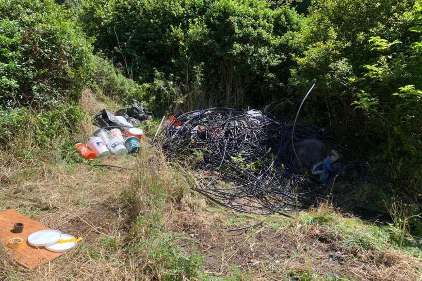 NPS Removes Old Marijuana Grow Site at Point Reyes National Seashore