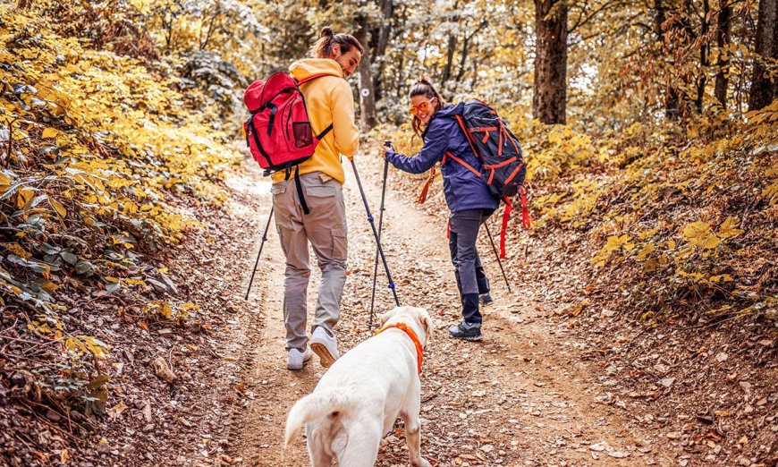 How to Elevate Your Fall Hikes, Plus the Gear You Need