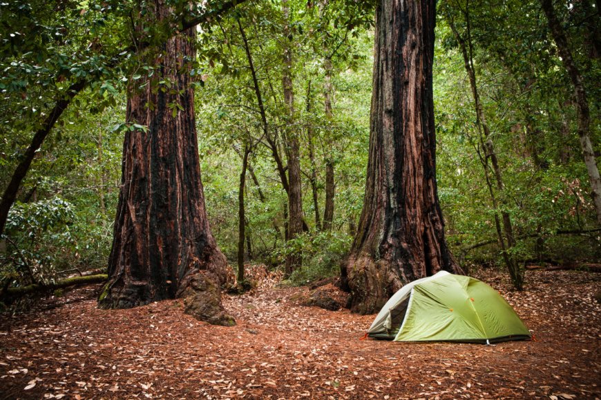 Want to Beat the Crowds? A New California Camping Law Should Make It Easier to Find a Campsite