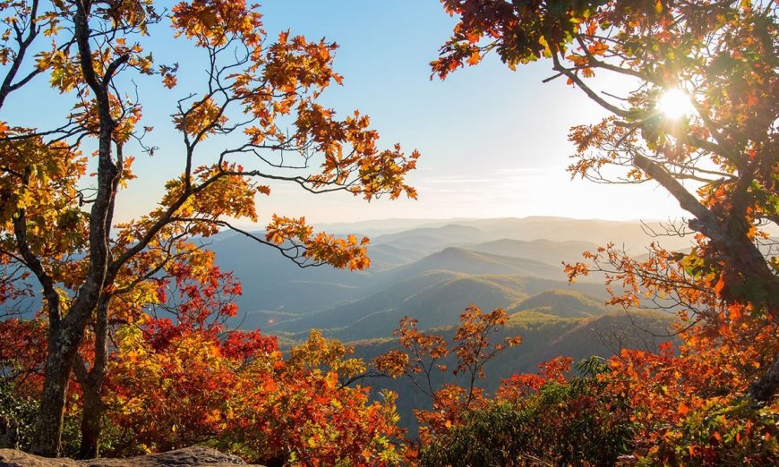 High-Flying Foliage: 9 Ways to See Fall Colors From Above