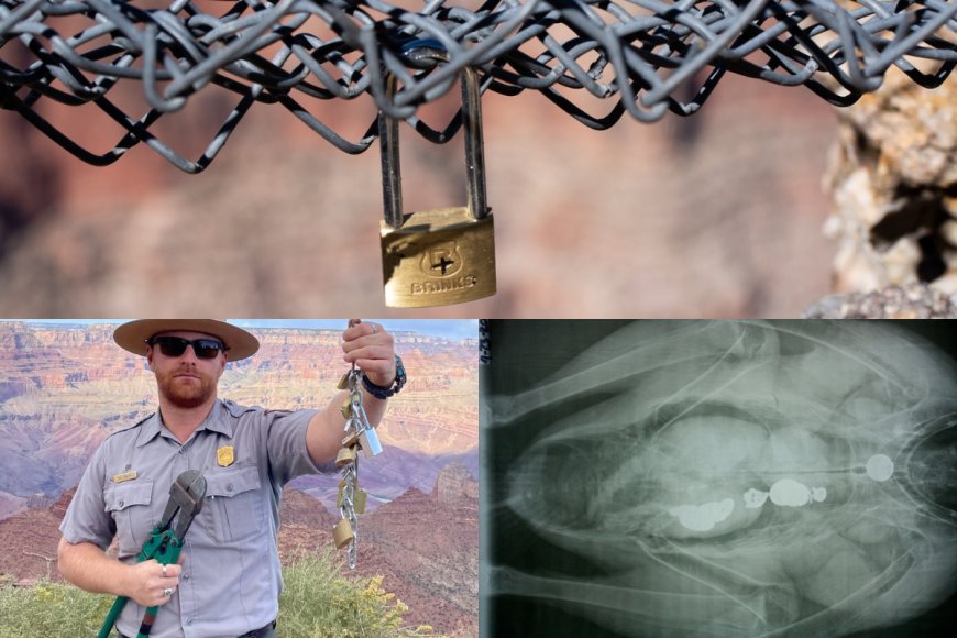 ‘Love is Strong, But it is Not as Strong as Our Bolt Cutters’: Grand Canyon Park Rangers