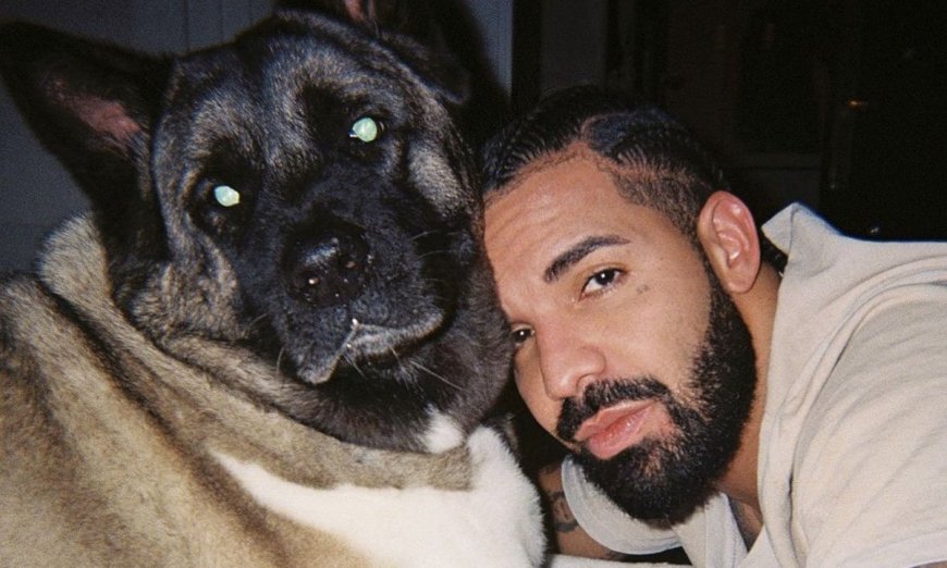 Vacation Mode Is in High Gear: Visit These Locations From Drake Songs