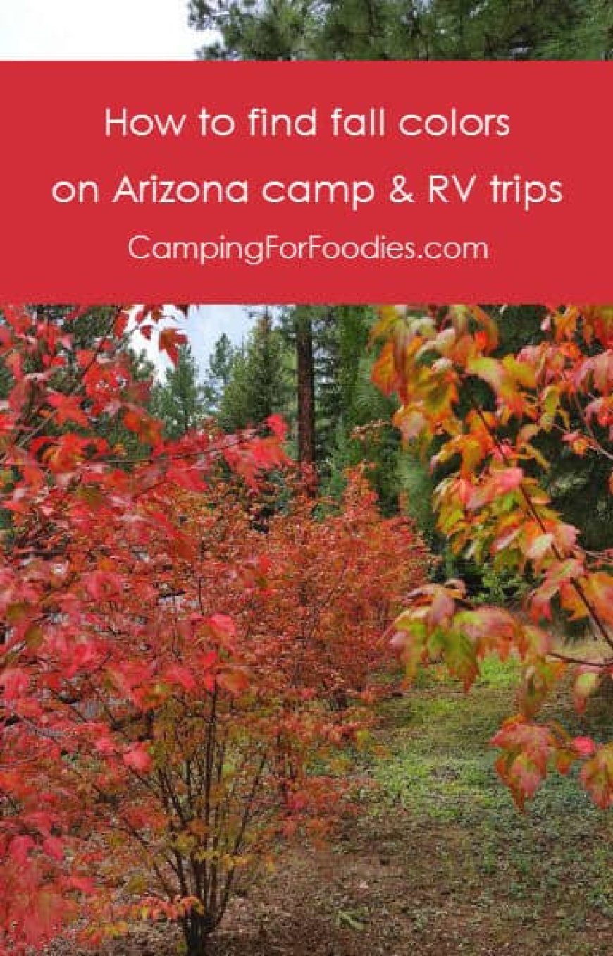 Best Fall Camping In Arizona: How To Find Fall Colors