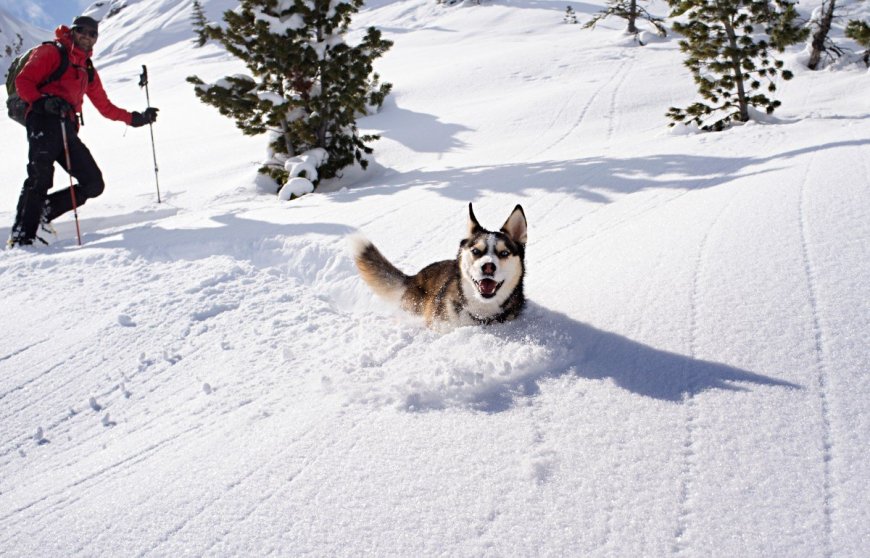 How to Understand Avalanche Risk When Winter Hiking in Washington State, Oregon and British Columbia