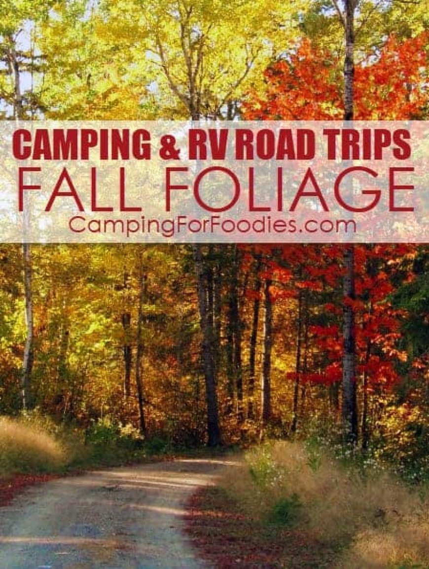 FREE Fall Colors Finder Tools For Fall Foliage Camping Trips