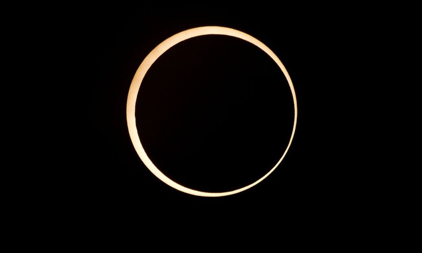 Ask Outdoors: How Do Eclipses Affect Plants and Animals?