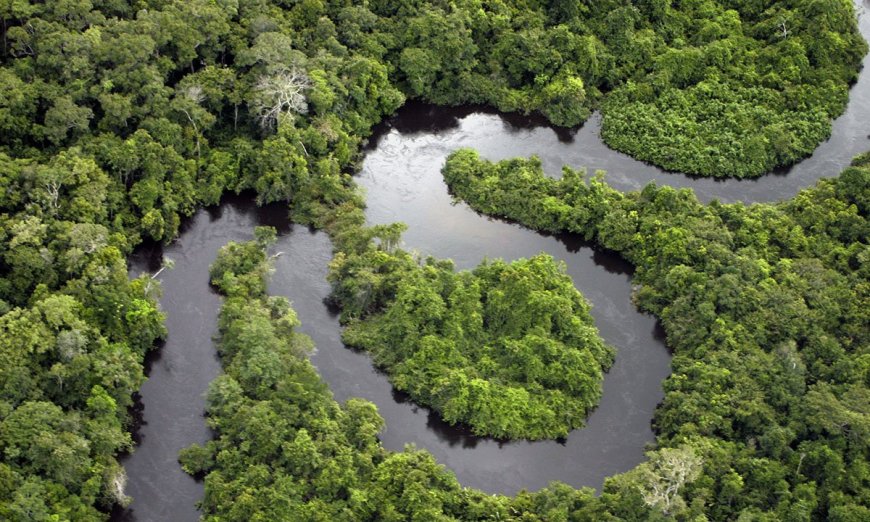 Is the Jungle Ultra the Toughest Endurance Challenge In the World? 