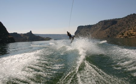 WATCH: ‘Terror-torial’ Swan Takes Wakeboarder Down