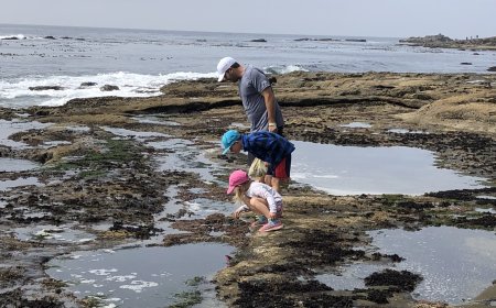 Explore Spirit Loop on Vancouver Island