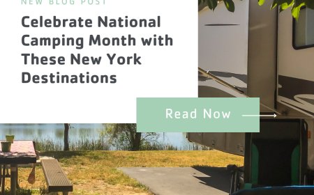 Celebrate National Camping Month with These NY Destinations