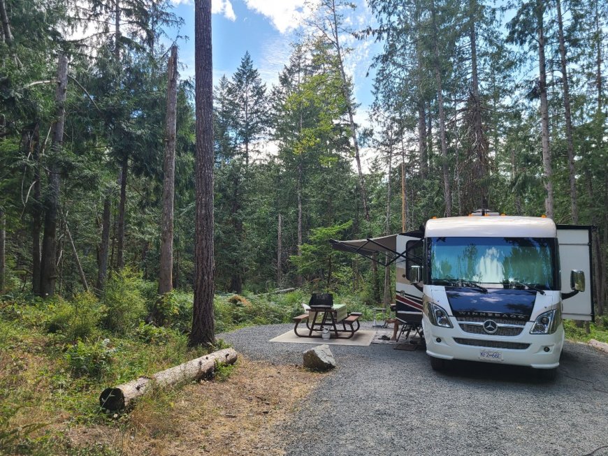 Campsite Criteria to Consider for the RVer