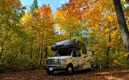 Campers & RV-ers! What's Eating You?