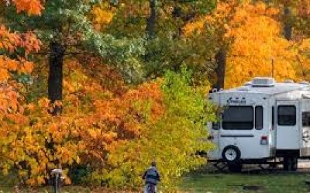 RV Travel, Camping  & Great Meals