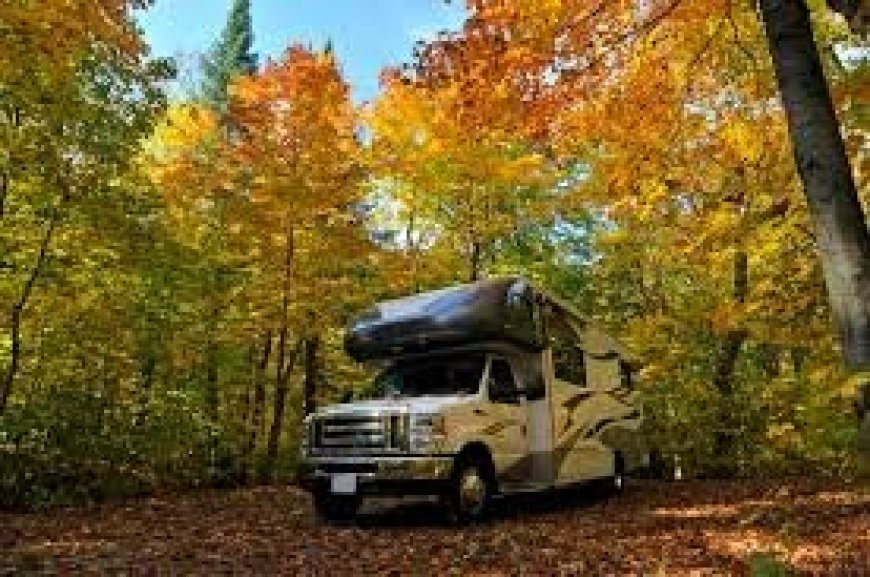 Campers & RV-ers! What's Eating You?