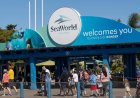 Woman Is Suing SeaWorld After Being Struck In The Face By A Bird